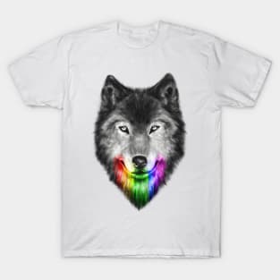 The Obsession of Chroma T-Shirt